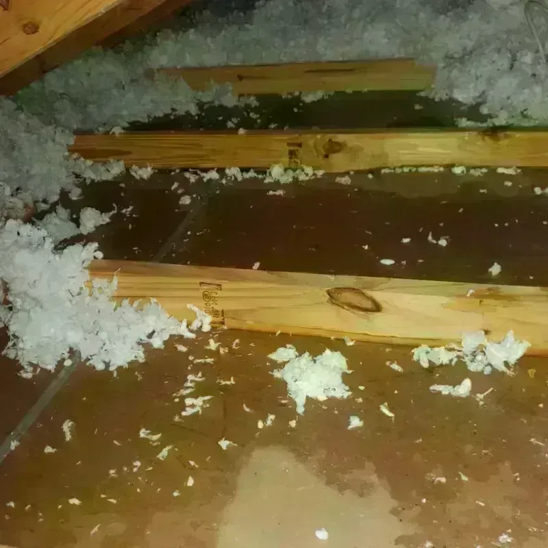 Attic Water Damage in First Mesa, AZ