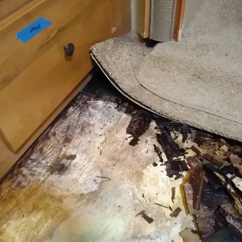 Best Wood Floor Water Damage Service in First Mesa, AZ